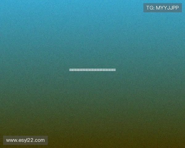 法甲球员在世界杯中的表现与影响力分析：从明星球员到战术风向标